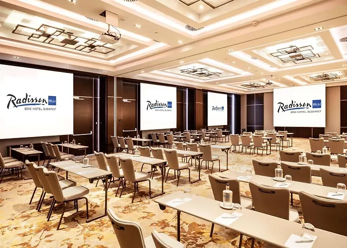 Radisson Blu Beke Hotel, Ξενοδοχείο