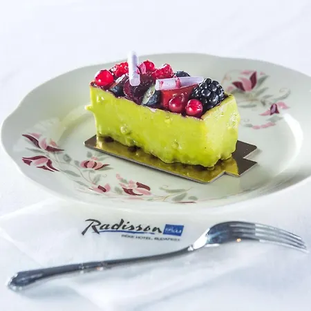 Radisson Blu Béke Hotel, Szálloda