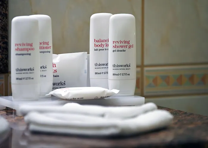 래디슨 블루 베케 호텔,